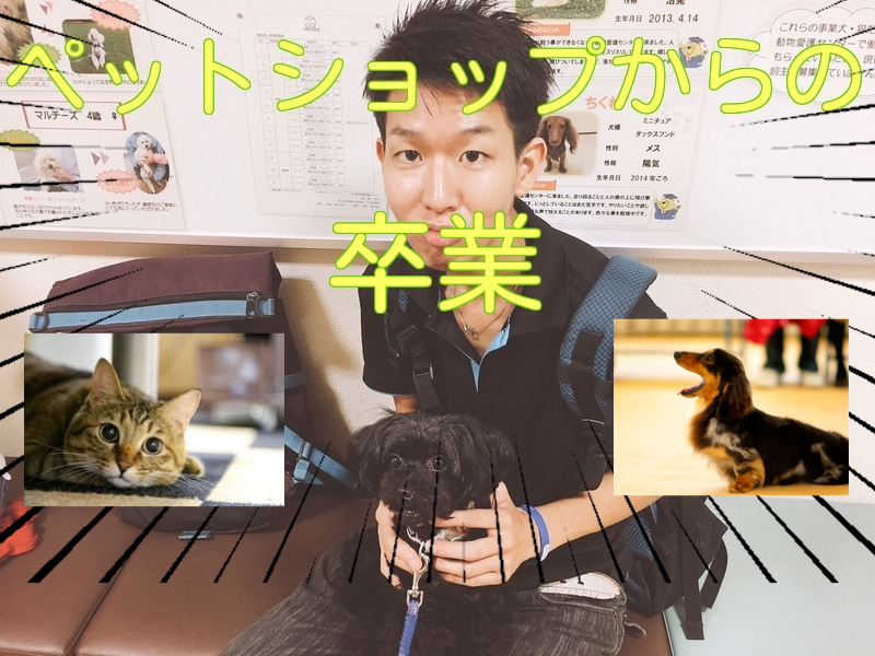 《暴露》名古屋市動物愛護センターに行った評価、感想《名古屋で犬猫を飼うならペットショップはもう辞めよ》